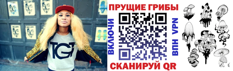 Купить где  Нальчик  Галлюциногенные грибы Psilocybe 